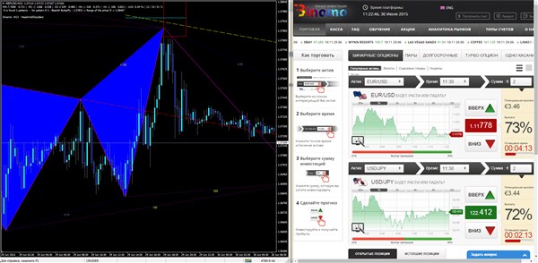 платформа Биномо вместе с графиком бабочки Гартли