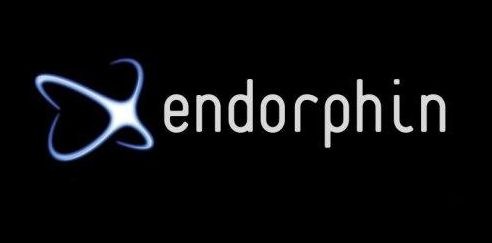 Стратегия для бинарных опционов «Endorphin» - наркотик радости прибыльной торговли