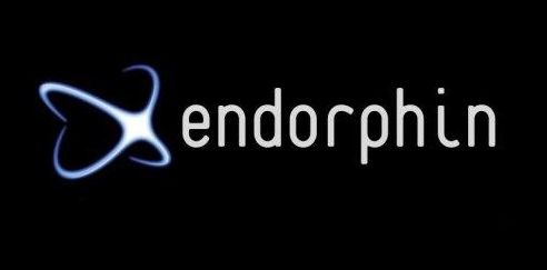 Стратегия для бинарных опционов «Endorphin» - наркотик радости прибыльной торговли