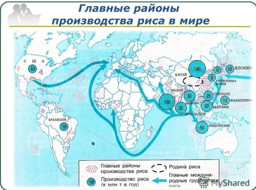 рис - один из самых популярных биржевых товаров