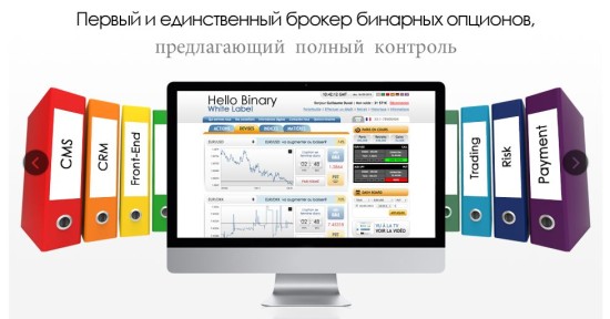 Компания Hello Binary